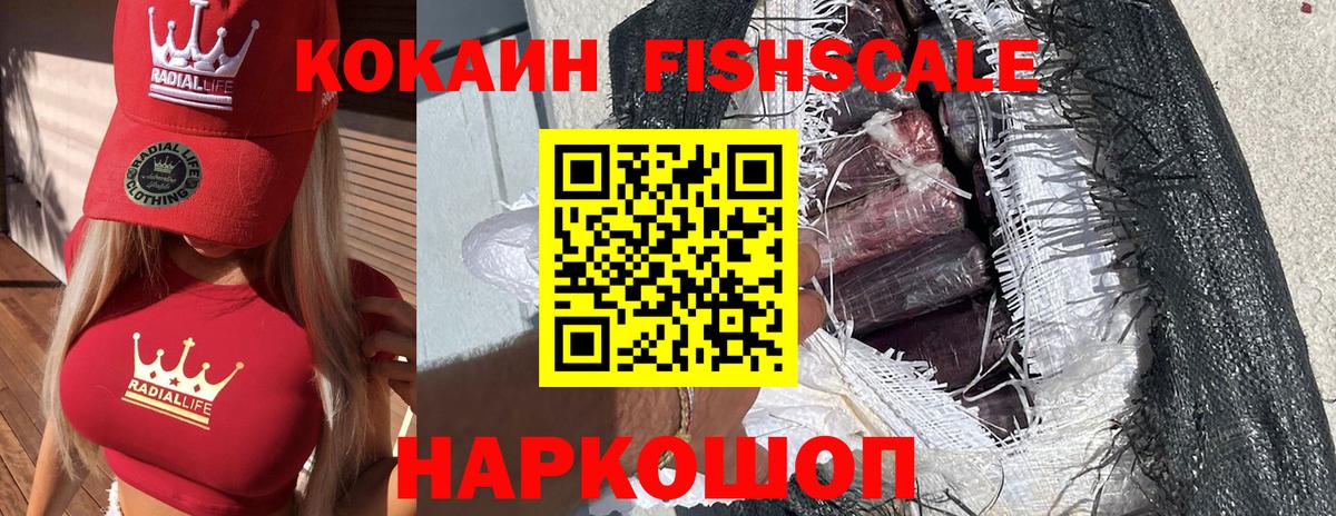 Cocaine FishScale Карпинск